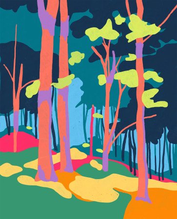 Nuits des Forêts